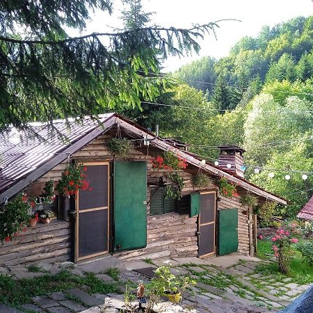 Zimska Idila Apartment Crni Vrh Bagian luar foto