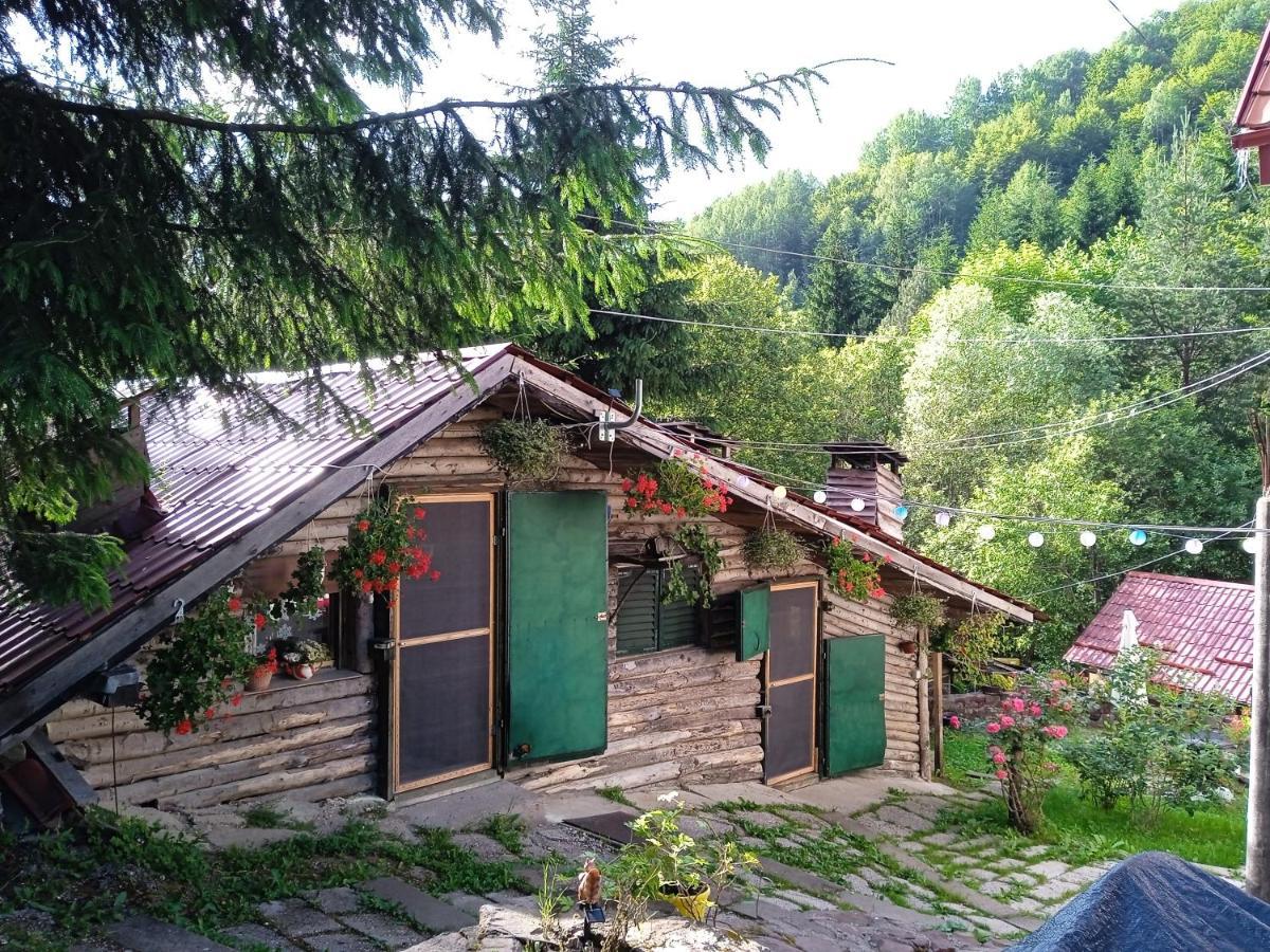 Zimska Idila Apartment Crni Vrh Bagian luar foto