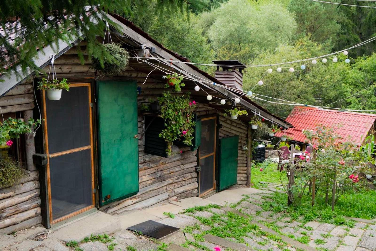 Zimska Idila Apartment Crni Vrh Bagian luar foto